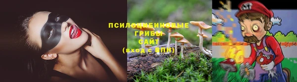 прущие крисы Арсеньев
