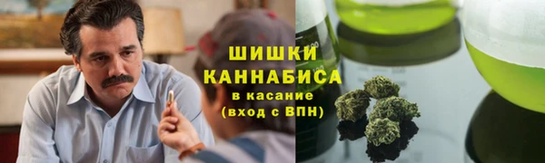 прущие крисы Арсеньев