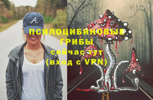 эйфоретик Аркадак