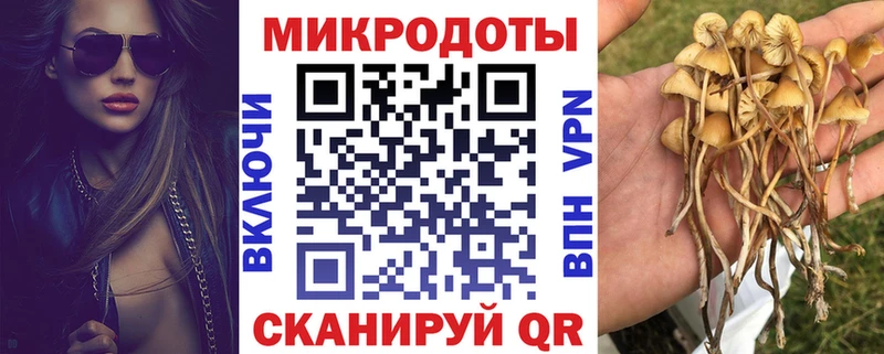 продажа наркотиков  Россошь  Галлюциногенные грибы мухоморы 